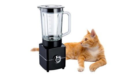 cat blender footage|The ‘Cat In Blender’ Video: A Disturbing Tale Of。